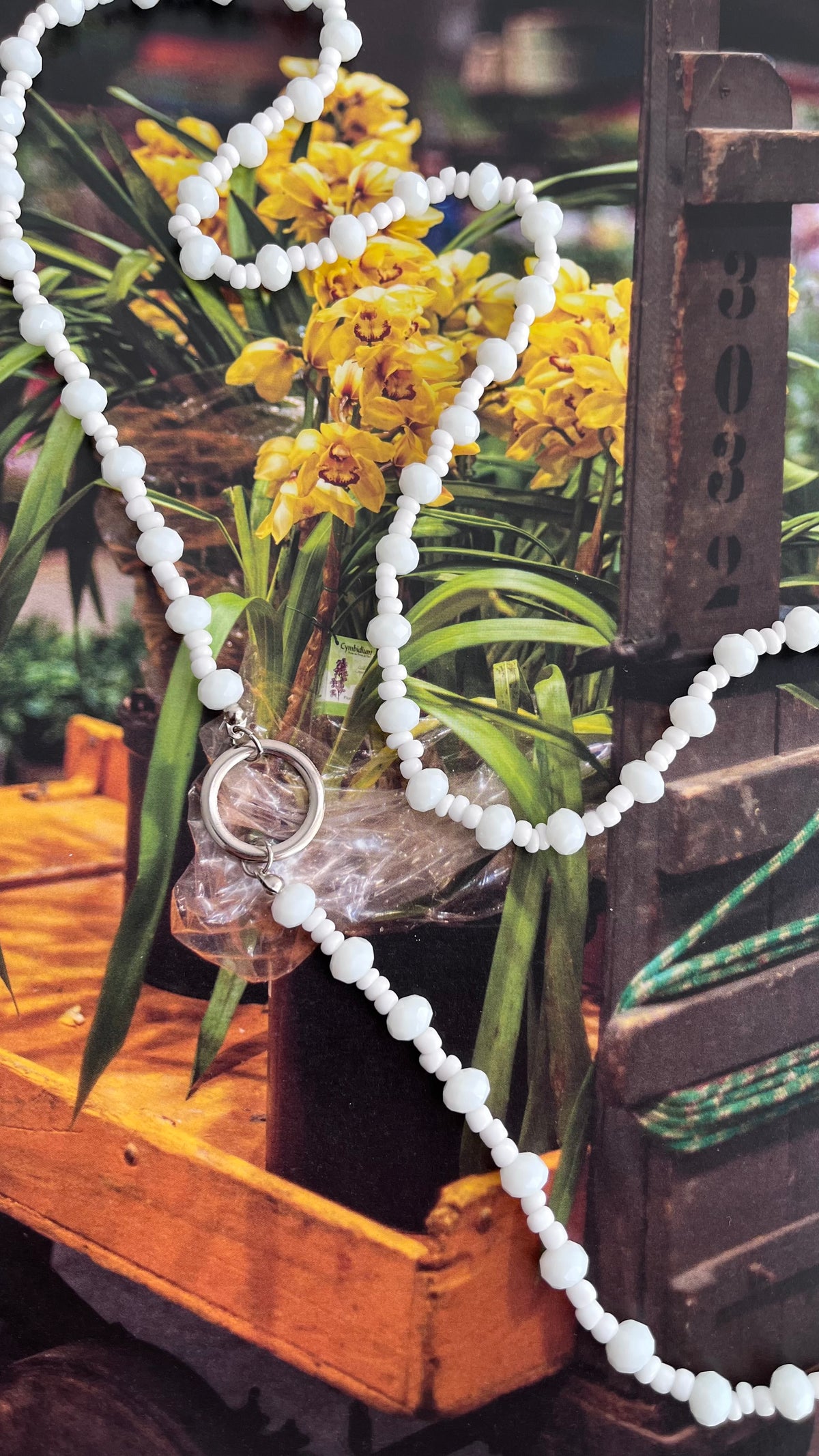 Colar para Óculos em Cristal Branco Prata